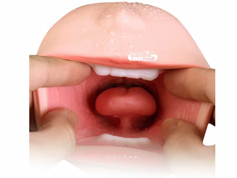 bộ phận bên trong của miệng giả