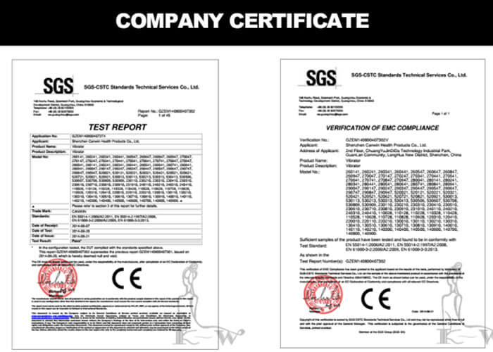 tiêu chuẩn SGS của sản phẩm công ty