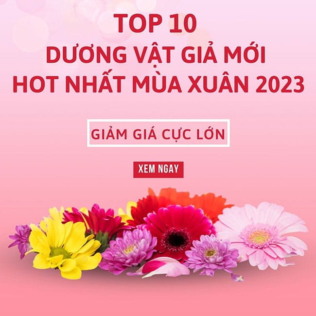 TOP 10 Dương Vật Giả Mới HOT Nhất Mùa Xuân 2023