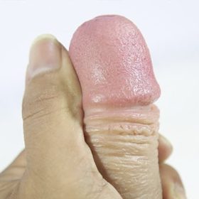 Dương vật giả găn tường đẹp chất lượng shp1392e