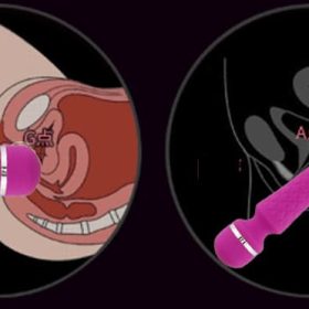 máy rung tình yêu cho cặp đôi shp1410a