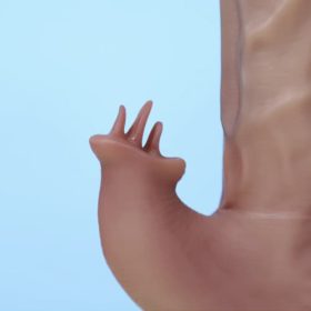 duong-gia-ho-tro-nu-tu-suong-yeain-tarzan-shp1464i